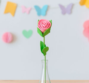 Rosa