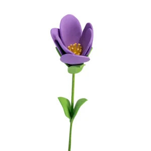 Morado