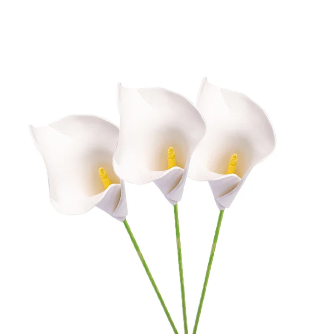 pack de calas pack calas blancas