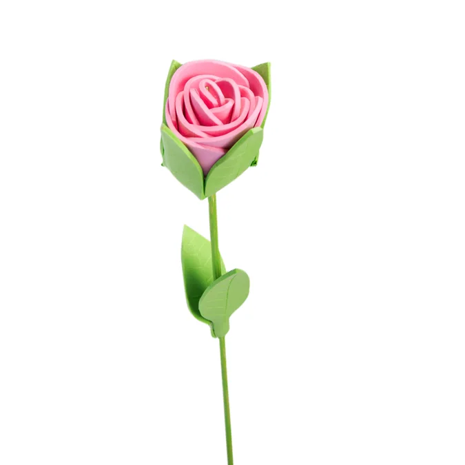 rosa rosa 1 rosa rosa
